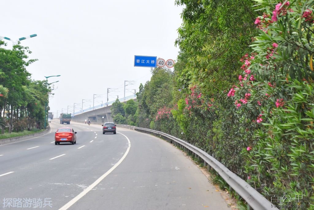 DSC_0320 - 复制.JPG