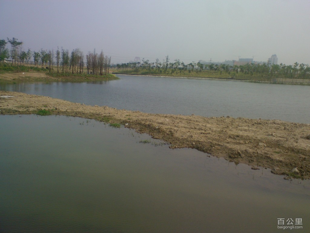 海珠湖-0008.jpg