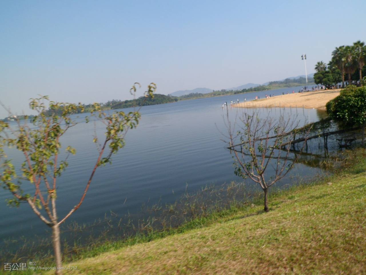 SAM_3617 - 副本 (2).JPG