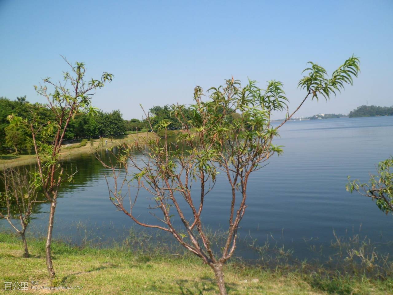 SAM_3616 - 副本 (2).JPG