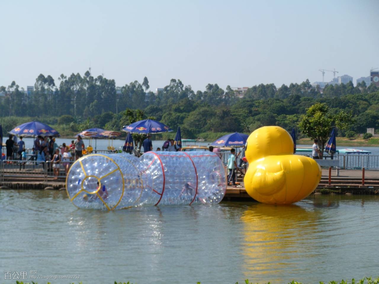 SAM_3612 - 副本.JPG