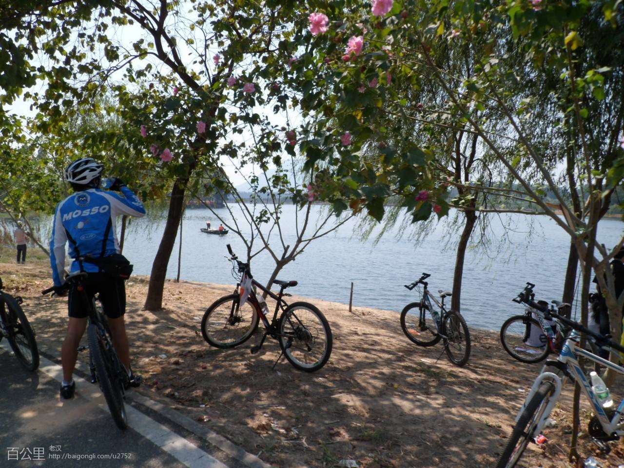 SAM_3557 - 副本.JPG