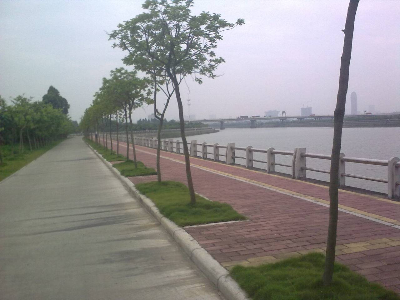 20120526296.jpg