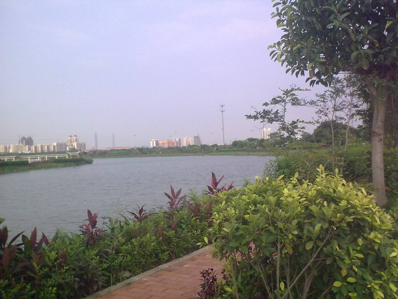 20120522238.jpg