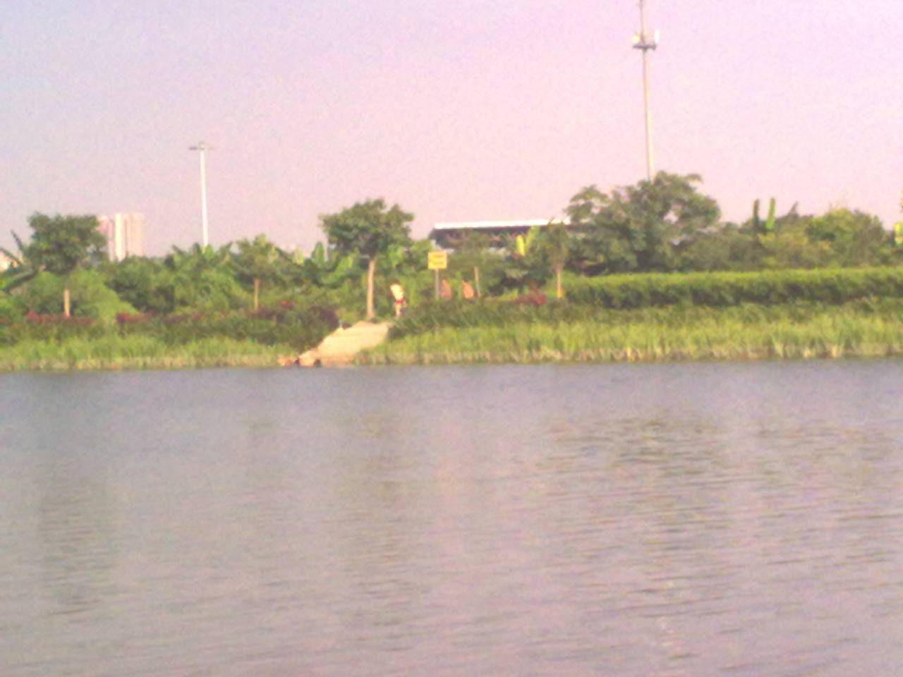 20120524267.jpg